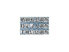 上海宝山区商务调查信息咨询公司的业务模式与服务价值探讨